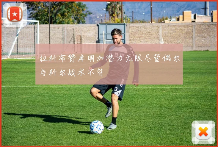 拉科布赞库明加潜力无限尽管偶尔与科尔战术不符