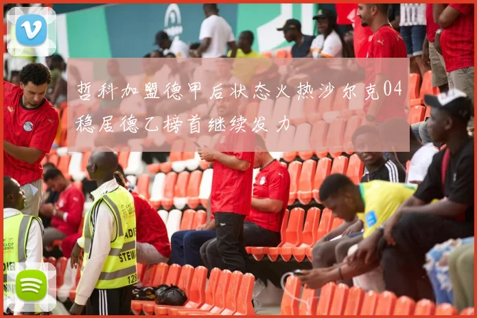 哲科加盟德甲后状态火热沙尔克04稳居德乙榜首继续发力