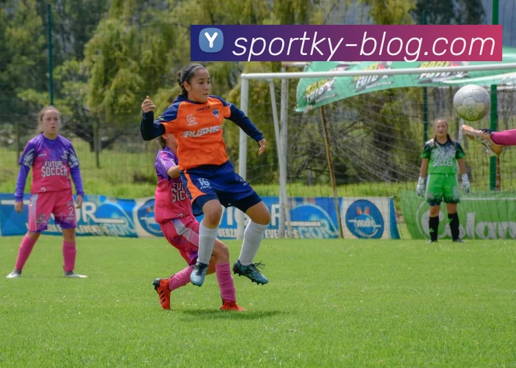 开云体育APP 封面图